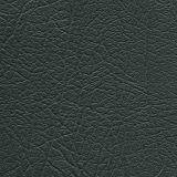 Hunter Green spa cover color option