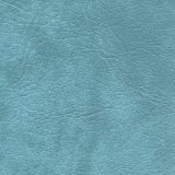 Sky Blue spa cover color option